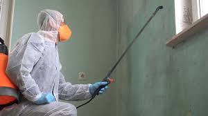  Glen Ellyn, IL Mold Removal & Remediation Pros