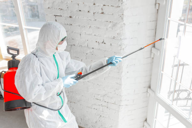 Glen Ellyn, IL Mold Removal & Remediation Company